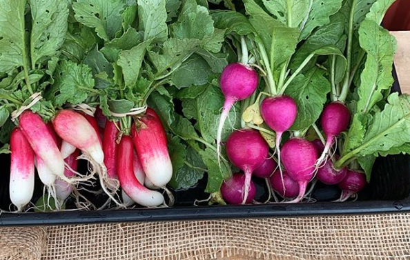 Breakfast and Purple Radishes from Skillman Farm Market and Butcher Shop