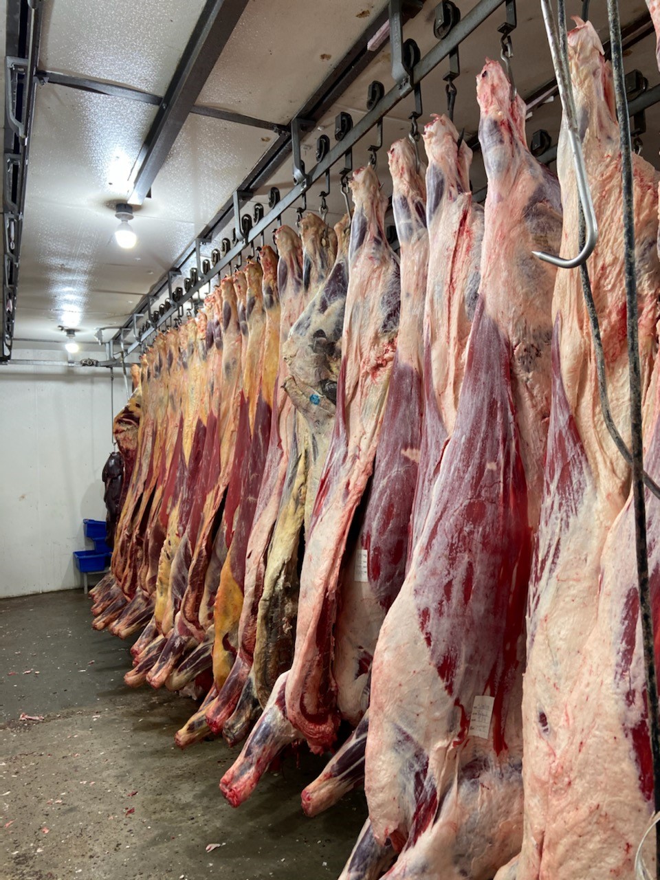 wholesale beef and pork available to customers and restaurants