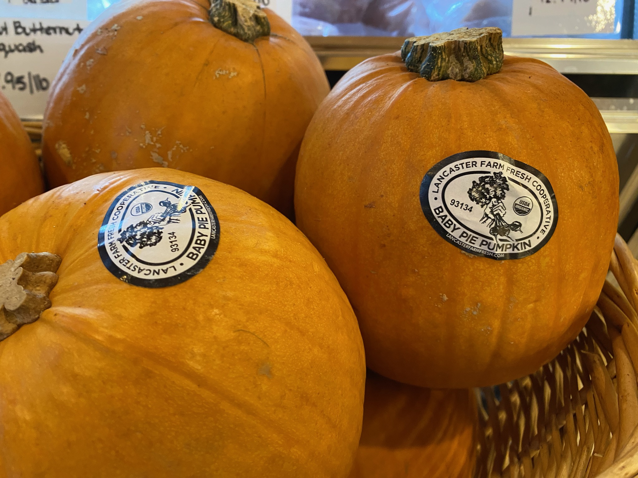 pie pumpkins